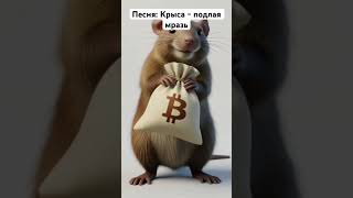 Песня: Крыса - подлая мразь #песня #песни #крыса #крысы #прикол #shorts #музыка #новыепесни