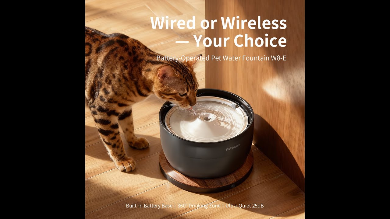 New Design Wireless Pet Water Fountain