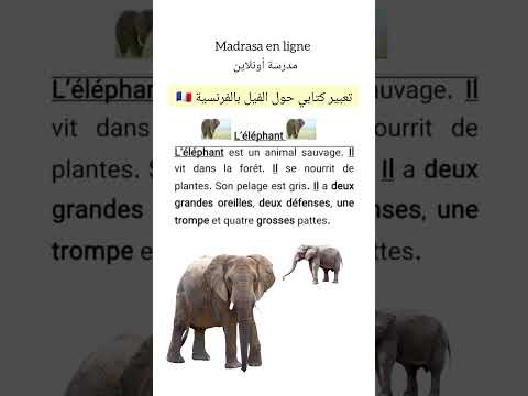 تعبير كتابي عن الفيل باللغة الفرنسية L éléphant