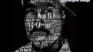 Snakes & Fakes - 2pac