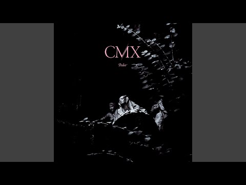CMX — Eteläisen Tähtitaivaan Kartoitus