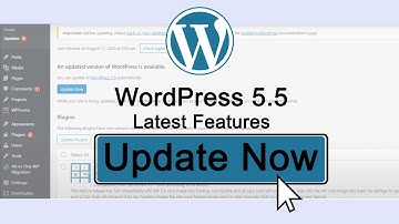 WordPress 5.5 Features and How to update your website to latest WordPress 5.5 version (Urdu -Hindi)