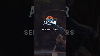 Ever wonder what makes your visitors tick? Our insights reveal the behavior patterns that can help