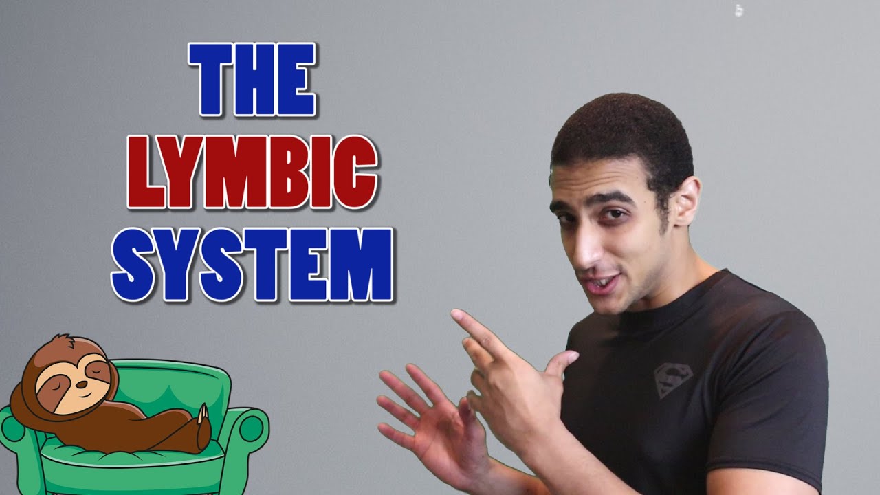 The Limbic System