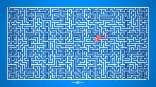 Maze Puzzle: Genius-Level Logic Test + Detailed Animation