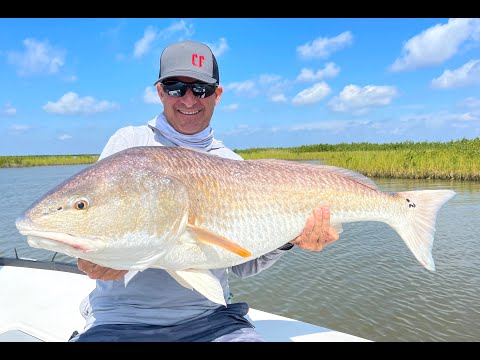 Sight Casting Bullreds on the Fly | Cocodrie Louisiana with Marsh Dawn Guide Service