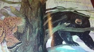 Every Autumn Comes The Bear Read Aloud Jim Arnosky
