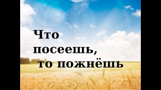 Что посеешь, то и пожнёшь. Что посеешь, то и пожнёшь.