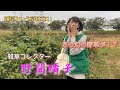 雑草コレクター"野間晴子"に密着！！〜雑草で未来を切り拓く！〜