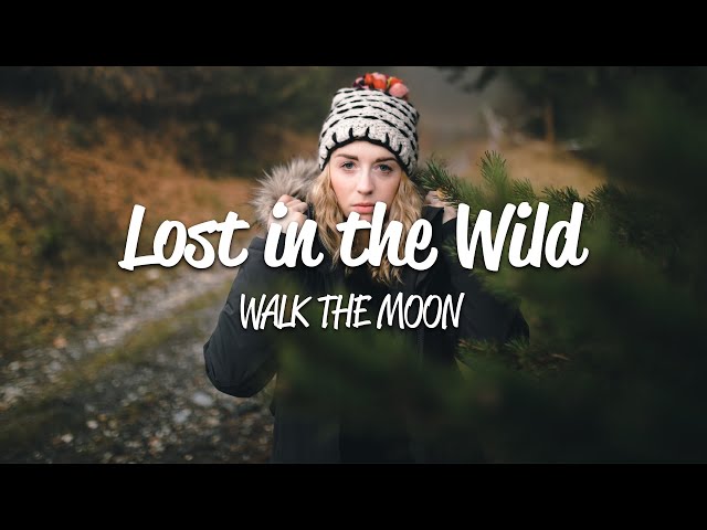 WALK THE MOON - Lost In The Wild (Lyrics) From the Netflix film The Kissing Booth 2 class=