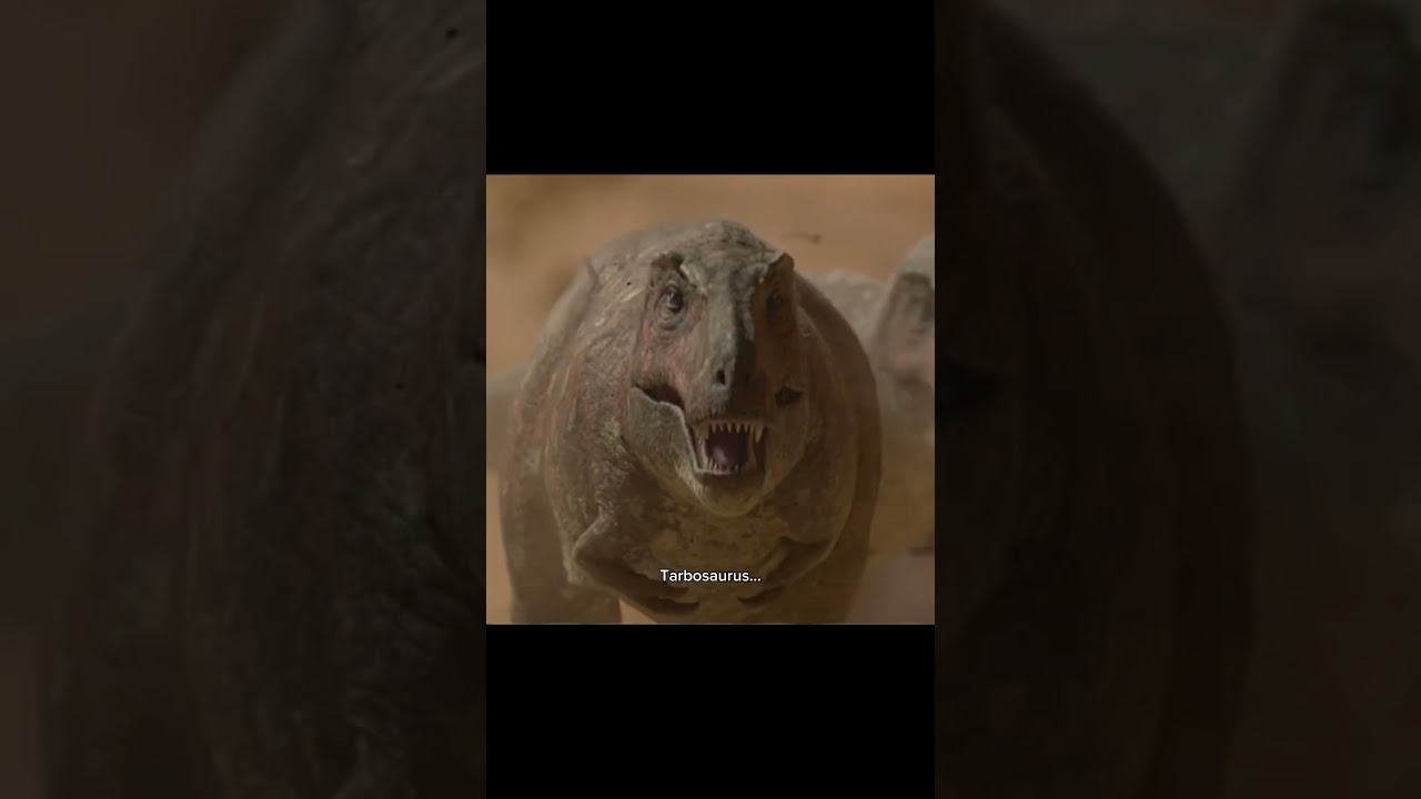 The T-Rex had an Asian cousin?? 