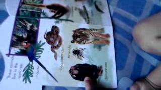 My Brainy Baby (Animals)