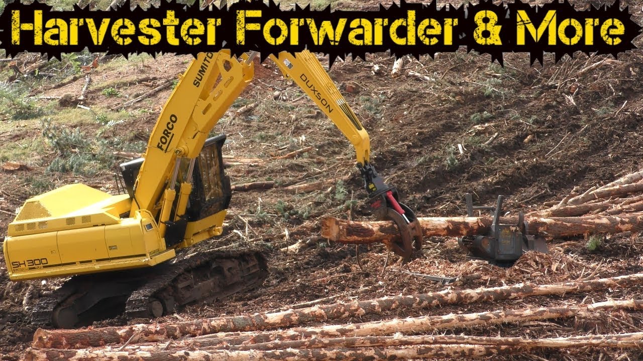 Shovel Logging & Debranching Sumitomo SH300 & Harvesttech S3000