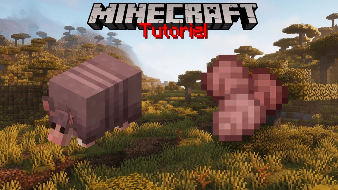 Trouver et Élever un Tatou [ Tuto Minecraft ] - YouTube