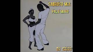 DJ CRISS - SABROSO MIX PALO MAYO 🪘🔥