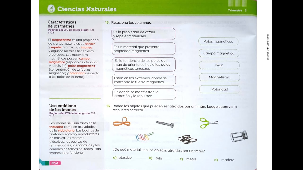 Ciencias Naturales Cuarto Grado Pagina 55