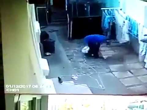 ROBBERY FAILS: DOG ATTACKS ROBBER | Robbery Gone Wrong |Instant Karma | Instant Justice