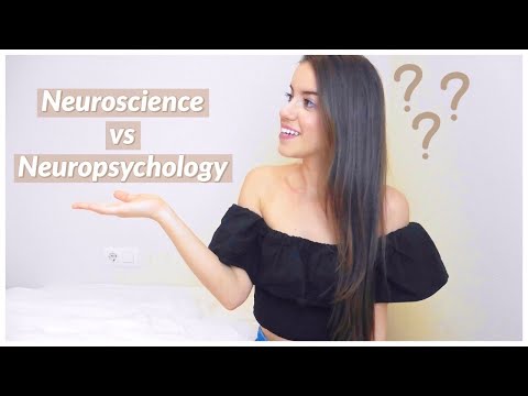 Neuroscience vs Neuropsychology: What is What?!