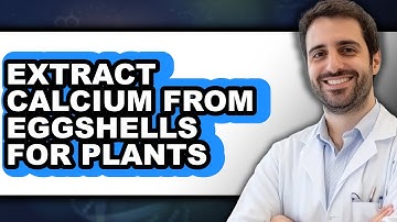 How to Extract Calcium from Eggshells for Plants (Easy Method)