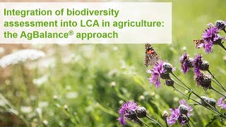 The AgBalance® approach - Biodiversity Calculator for Life Cycle Assessment