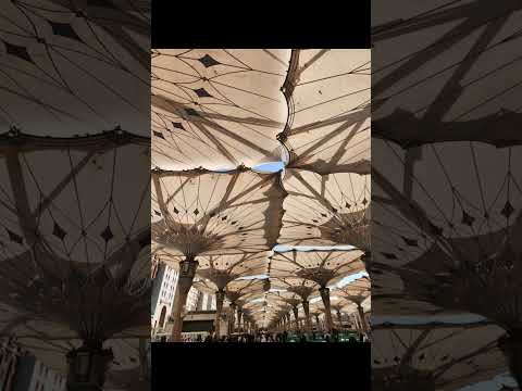 أنشودة اتينا لباب النبي الكريم      