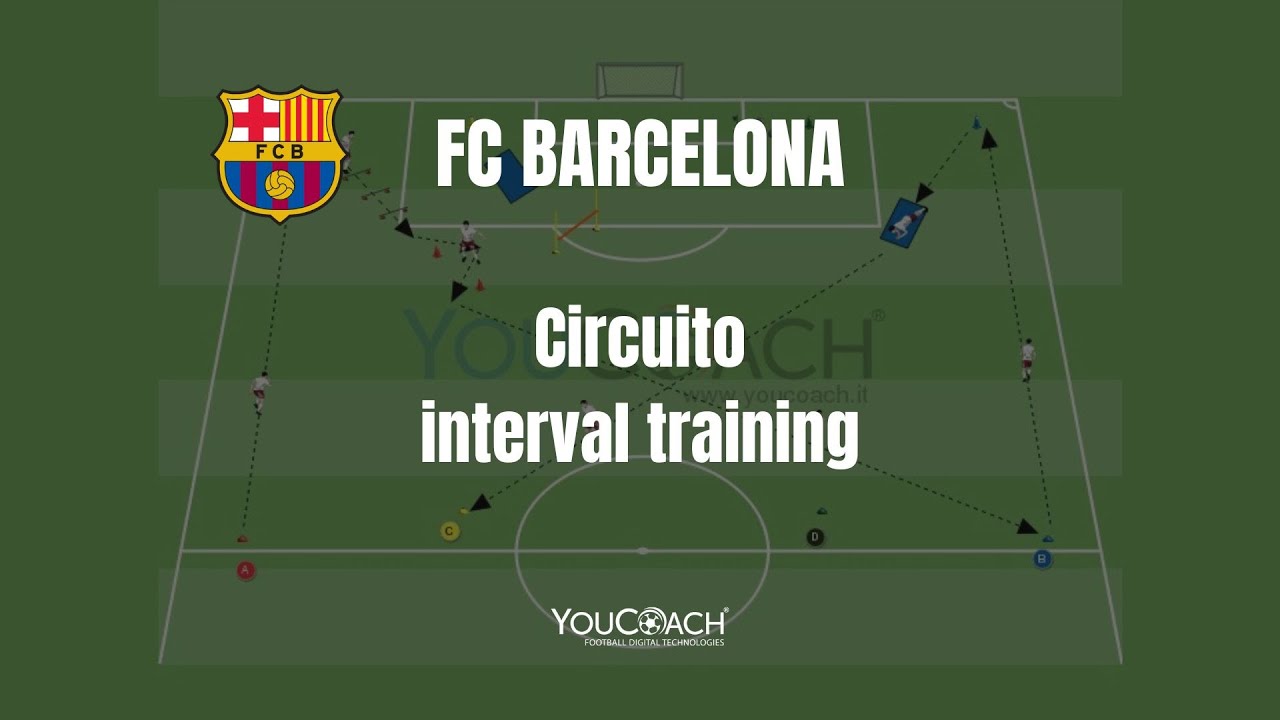 schede allenamento a circuito pdf