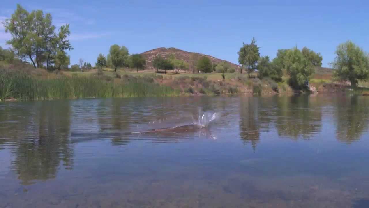 Save Your Clubs and Fix Your Slice with Polara Golf Balls YouTube