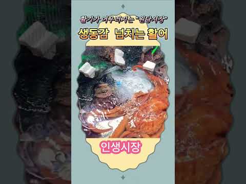 싱싱한 재료와 사람들의 활기가 어우러지는 활어