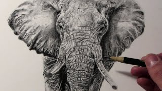 How to Draw an Elephant