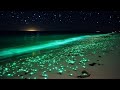 Goodbye insomnia in 3 minutes  calm relaxing music for deep sleep eliminates all negative energy