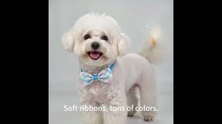 #PetBowTieWholesale#CustomPetBowTie #PetProductsFactory#PetDistributor#OEMPetProducts#PetSupplier