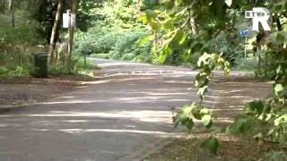 Homos Positief Over Eigen Plek In Kralingse Bos