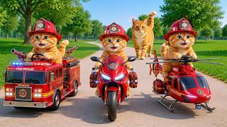 Mama Cat Fishing by the Rive and Heads Home to Cook Fish &amp; Makes Tiger Hat For Kittens At Home 🐾🧶🥚