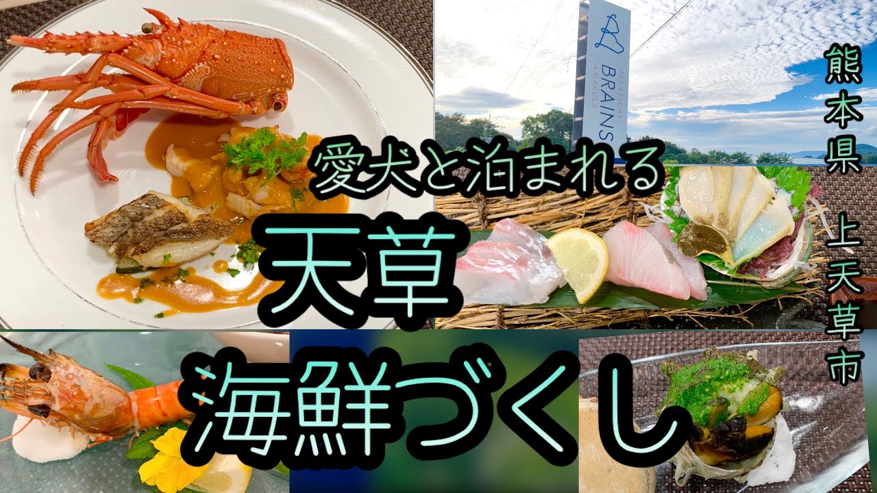 【愛犬と泊まれる宿九州】ブレインズ天草🐕ペット温泉に砂浜ドッグラン！愛犬ファーストのリゾートで上天草の美味を堪能！