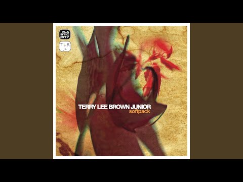 Terry Lee Brown Jr. — A Case in Point