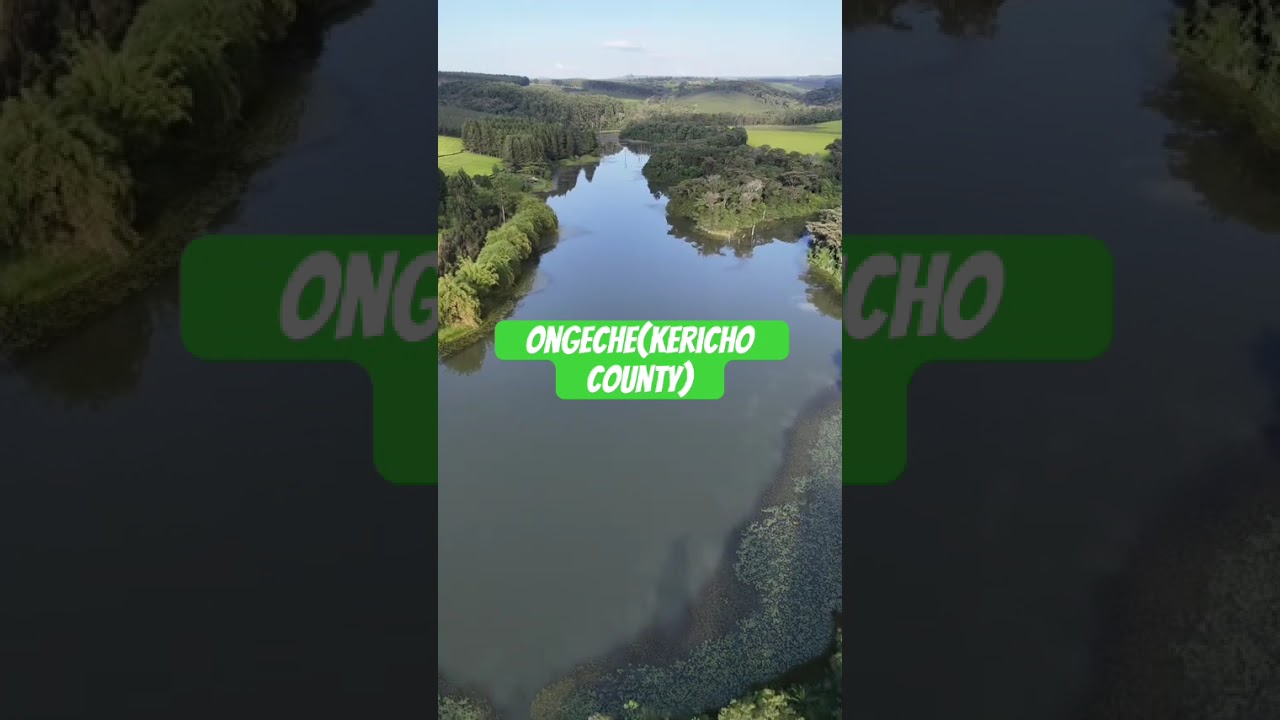 Beautiful View of Ongeche Tea Estate & River in Kericho County | Green Paradise of Kenya 🍃 