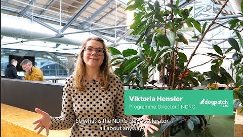 Get the 101 on our NDRC Pre-Accelerator 2023