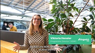 Get the 101 on our NDRC Pre-Accelerator 2023