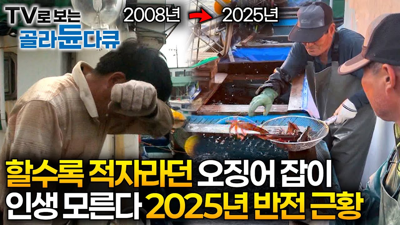 하루에 적자 200만원, 기름도 못 넣던 오징어 배 대반전 근황｜너무 많이 잡혀서 어부들 입이 귀에 걸렸다｜오징어 잡이 2025년 근황｜극한직업｜#골라듄다큐