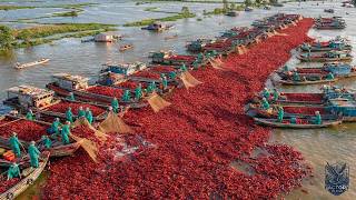 China Turns A Crawfish Disaster Into A Massive Industry That Astonishes Europe | Fishing Documentary