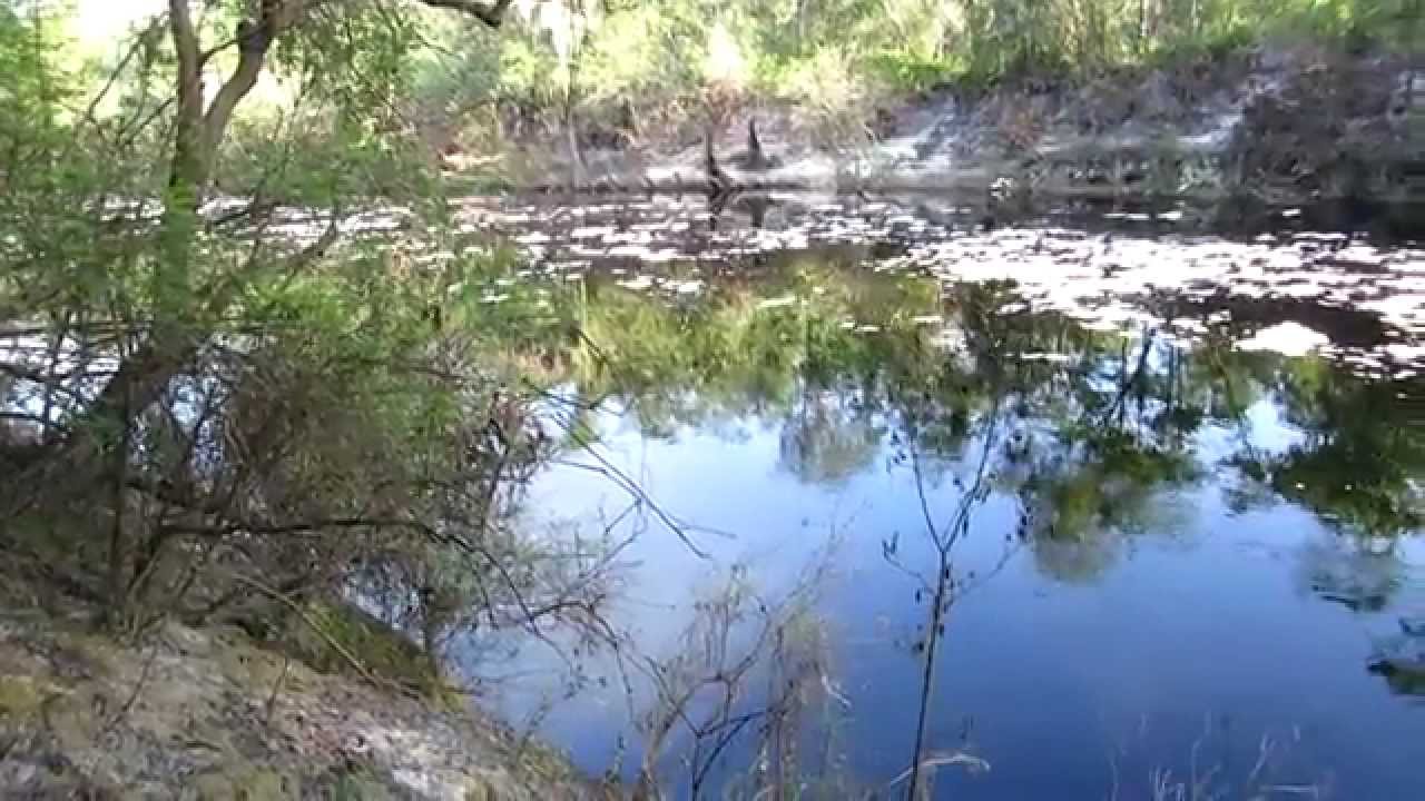 Suwannee River Betweeen Bell Springs and Little Shoals