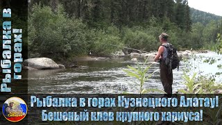 Рыбалка в горах Кузнецкого Алатау! Бешеный клев крупного хариуса!