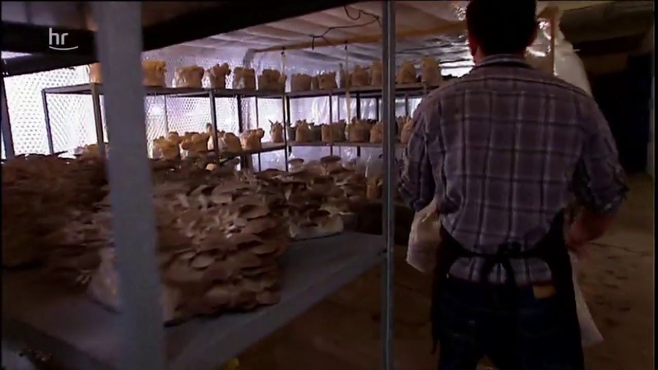 Pilzzucht Braun Wabern Hessen mit Dieter Voss