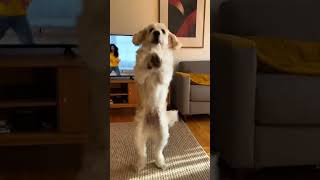 Sonundaki Dönüşe 10 Üzerinden Kaç Verirsin?