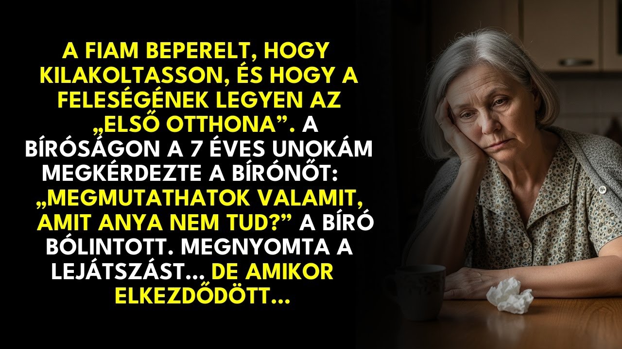 A fiam kilakoltatásért beperelt. A bíróságon az unokám megszólalt: „Megmutathatok valamit?”