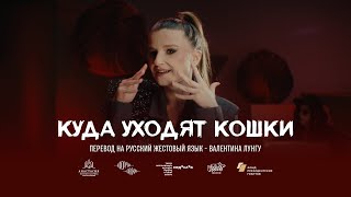 Найди - Куда Уходят Кошки (Перевод На Русский Жестовый Язык: Валентина Лунгу)