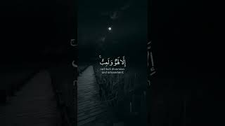 Surah Al Ankabut Ayat 64  Islamic Whatsapp Status shorts viral explore foryou