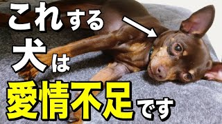 【見逃すと危険】愛情不足の犬だけが見せる行動・仕草を獣医師が解説します