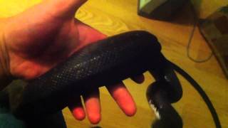New Savu python