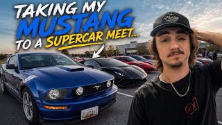 I Took my Mustang to a Supercar meet...